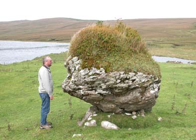 6994